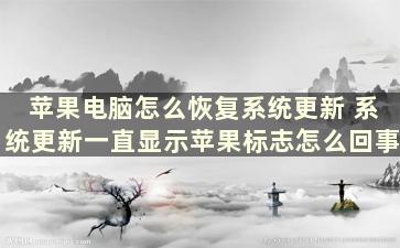 苹果电脑怎么恢复系统更新 系统更新一直显示苹果标志怎么回事